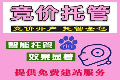 百度搜索推广实战技巧：成功案例背后的优化策略